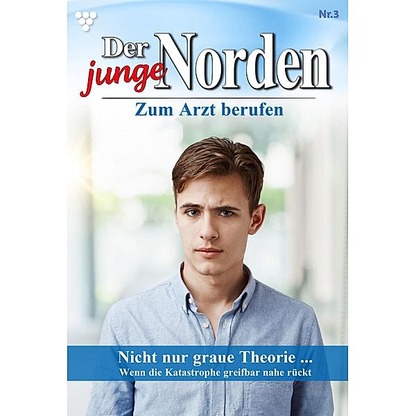 Nicht nur graue Theorie... / Der junge Norden Bd.3, Carolin Grahl