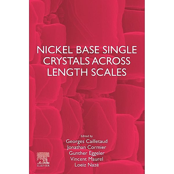 Nickel Base Single Crystals Across Length Scales