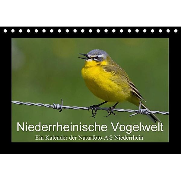 Niederrheinische Vogelwelt (Tischkalender 2017 DIN A5 quer)