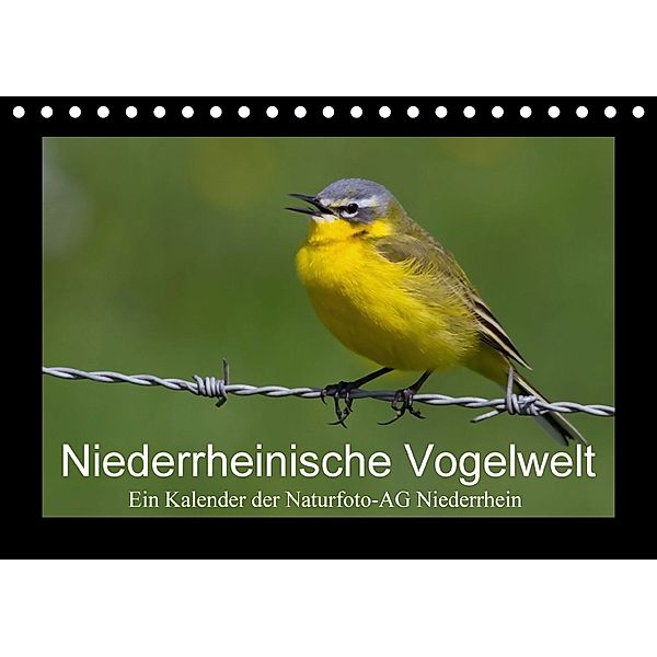 Niederrheinische Vogelwelt (Tischkalender 2018 DIN A5 quer), Gudrun Nitzold-Briele