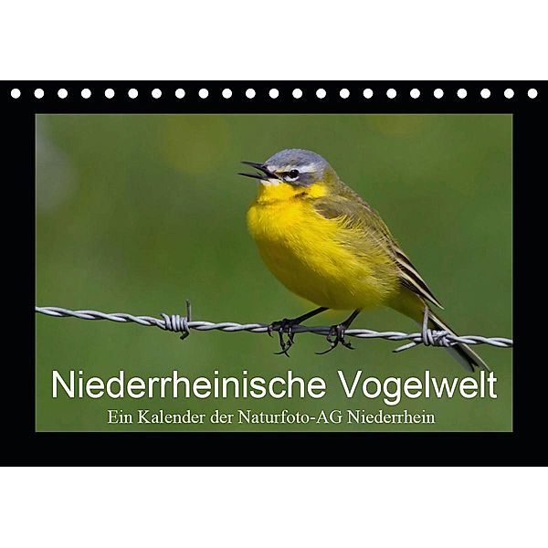 Niederrheinische Vogelwelt (Tischkalender 2021 DIN A5 quer), Gudrun Nitzold-Briele