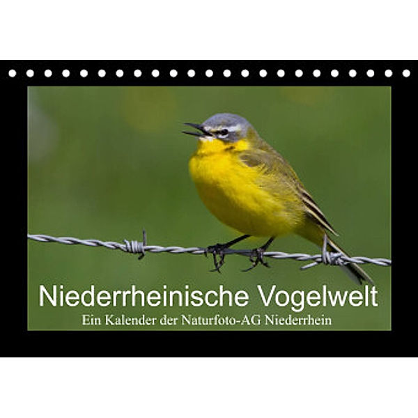 Niederrheinische Vogelwelt (Tischkalender 2022 DIN A5 quer), Gudrun Nitzold-Briele