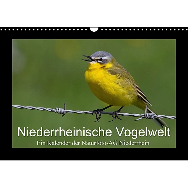 Niederrheinische Vogelwelt (Wandkalender 2018 DIN A3 quer), Gudrun Nitzold-Briele