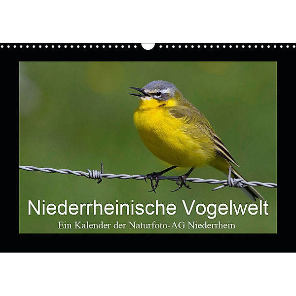 Niederrheinische Vogelwelt (Wandkalender 2019 DIN A3 quer), Gudrun Nitzold-Briele