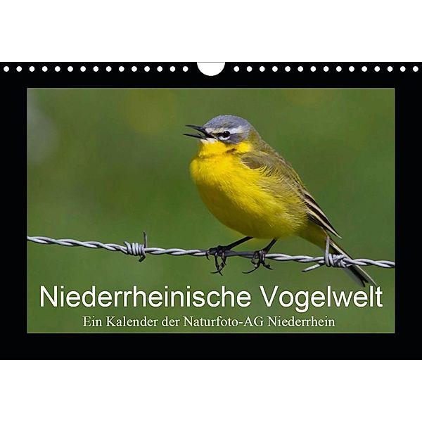 Niederrheinische Vogelwelt (Wandkalender 2020 DIN A4 quer), Gudrun Nitzold-Briele