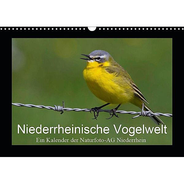 Niederrheinische Vogelwelt (Wandkalender 2021 DIN A3 quer), Gudrun Nitzold-Briele