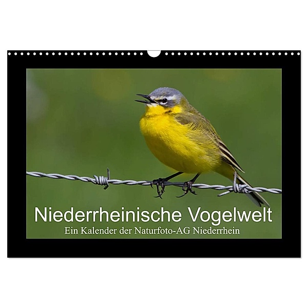 Niederrheinische Vogelwelt (Wandkalender 2024 DIN A3 quer), CALVENDO Monatskalender, Gudrun Nitzold-Briele