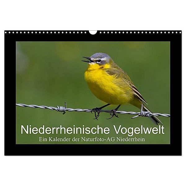 Niederrheinische Vogelwelt (Wandkalender 2024 DIN A3 quer), CALVENDO Monatskalender, Gudrun Nitzold-Briele