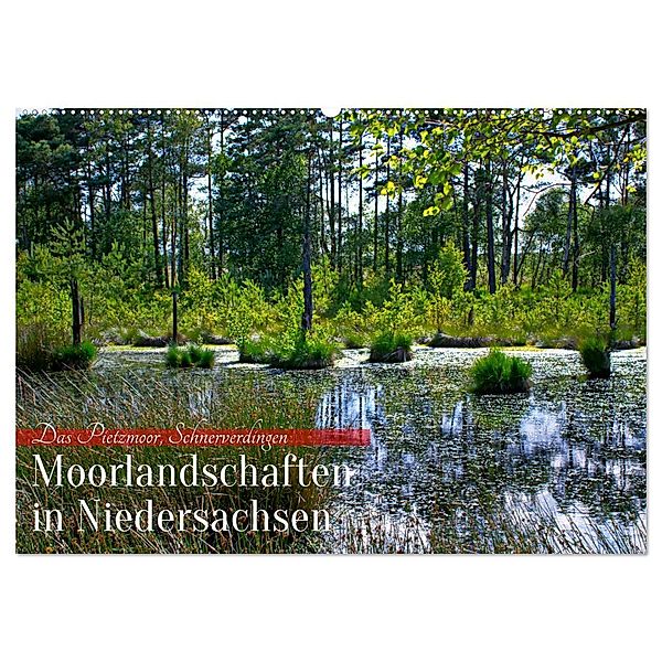Niedersachsens Moorlandschaften - Das Pietzmoor, Schneverdingen (Wandkalender 2025 DIN A2 quer), CALVENDO Monatskalender, Calvendo, Markus Nix-Schmidt