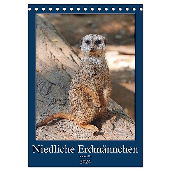 Niedliche Erdmännchen (Tischkalender 2024 DIN A5 hoch), CALVENDO Monatskalender, Kattobello