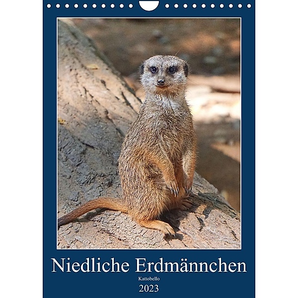 Niedliche Erdmännchen (Wandkalender 2023 DIN A4 hoch), Kattobello