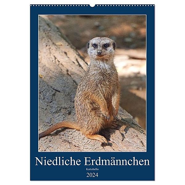 Niedliche Erdmännchen (Wandkalender 2024 DIN A2 hoch), CALVENDO Monatskalender, Kattobello