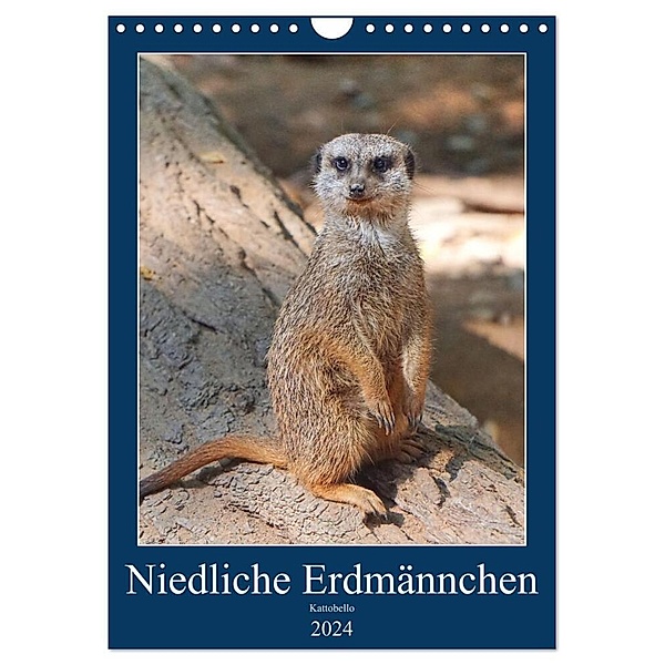 Niedliche Erdmännchen (Wandkalender 2024 DIN A4 hoch), CALVENDO Monatskalender, Kattobello