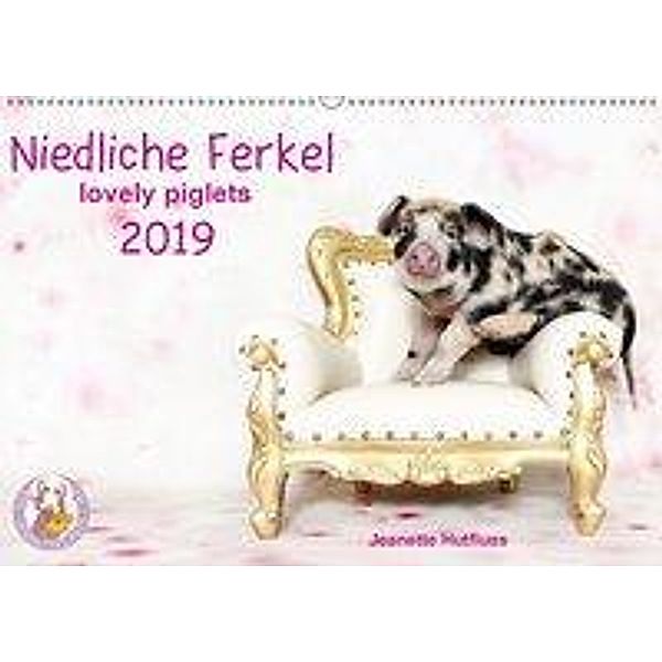Niedliche Ferkel lovely piglets 2019 (Wandkalender 2019 DIN A2 quer), Jeanette Hutfluss