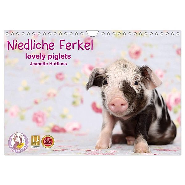 Niedliche Ferkel lovely piglets 2025 (Wandkalender 2025 DIN A4 quer), CALVENDO Monatskalender, Calvendo, Jeanette Hutfluss