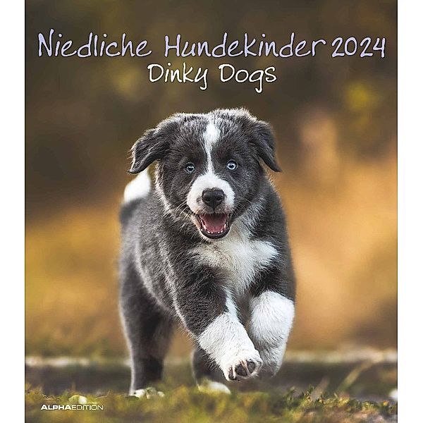 Niedliche Hundekinder 2024 - Wand-Kalender - Tier-Kalender - 30x34