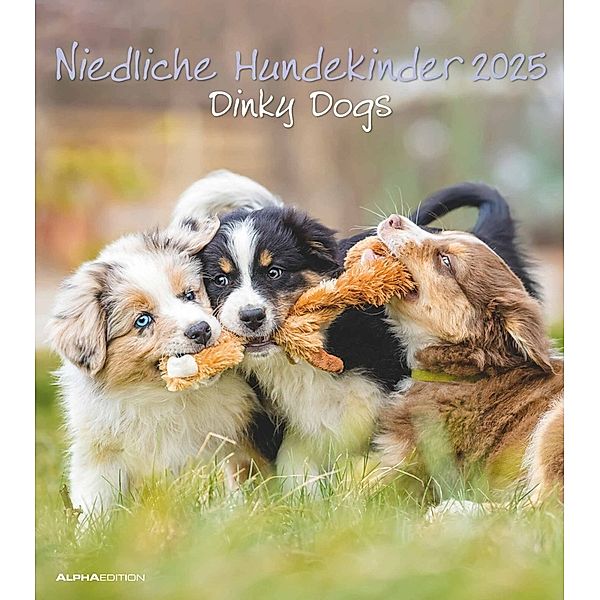 Niedliche Hundekinder 2025 - Wand-Kalender - Tier-Kalender - 30x34