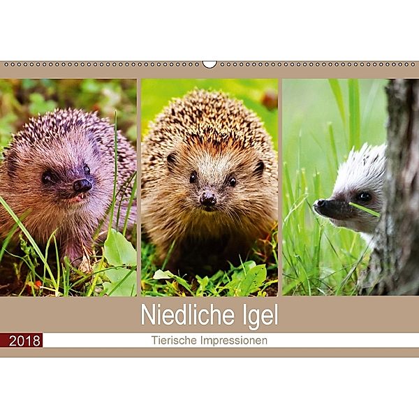 Niedliche Igel 2018. Tierische Impressionen (Wandkalender 2018 DIN A2 quer), Steffani Lehmann