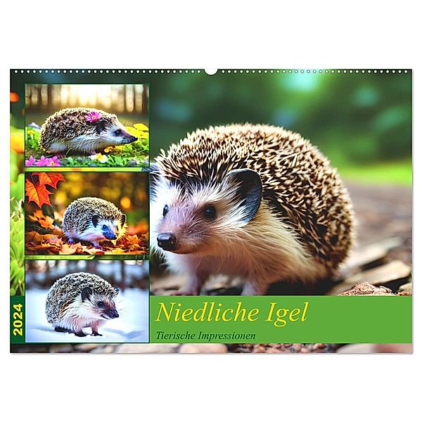 Niedliche Igel (Wandkalender 2024 DIN A2 quer), CALVENDO Monatskalender, Steffani Lehmann