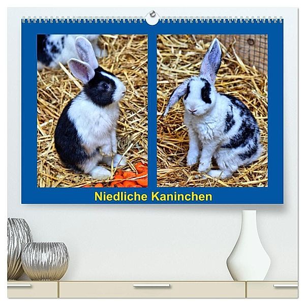 Niedliche Kaninchen (hochwertiger Premium Wandkalender 2024 DIN A2 quer), Kunstdruck in Hochglanz, Kattobello