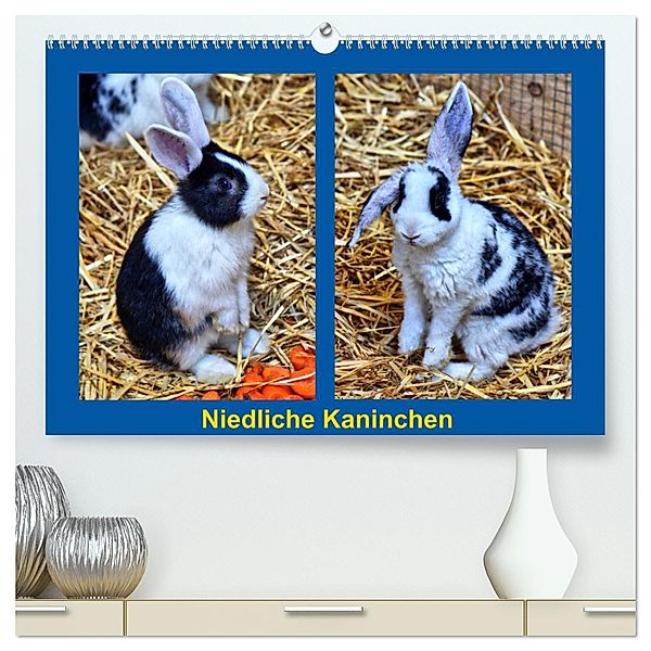 Niedliche Kaninchen (hochwertiger Premium Wandkalender 2025 DIN A2 quer), Kunstdruck in Hochglanz, Calvendo, Kattobello