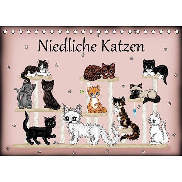 Niedliche Katzen (Tischkalender 2023 DIN A5 quer), Pezi Creation / Petra Haberhauer