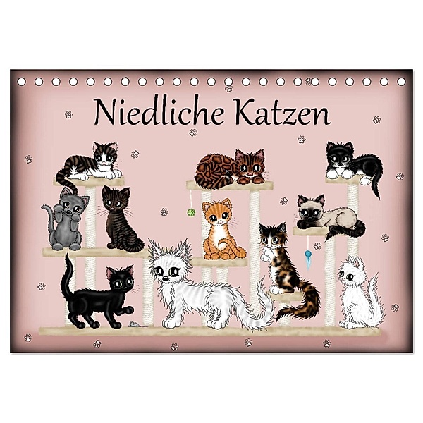 Niedliche Katzen (Tischkalender 2024 DIN A5 quer), CALVENDO Monatskalender, Pezi Creation / Petra Haberhauer