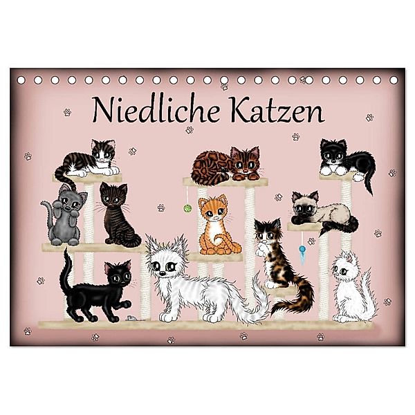 Niedliche Katzen (Tischkalender 2025 DIN A5 quer), CALVENDO Monatskalender, Calvendo, Pezi Creation / Petra Haberhauer