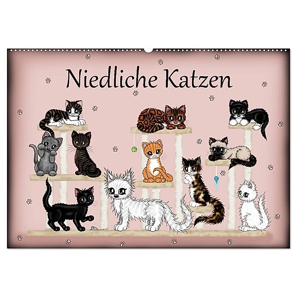 Niedliche Katzen (Wandkalender 2025 DIN A2 quer), CALVENDO Monatskalender, Calvendo, Pezi Creation / Petra Haberhauer