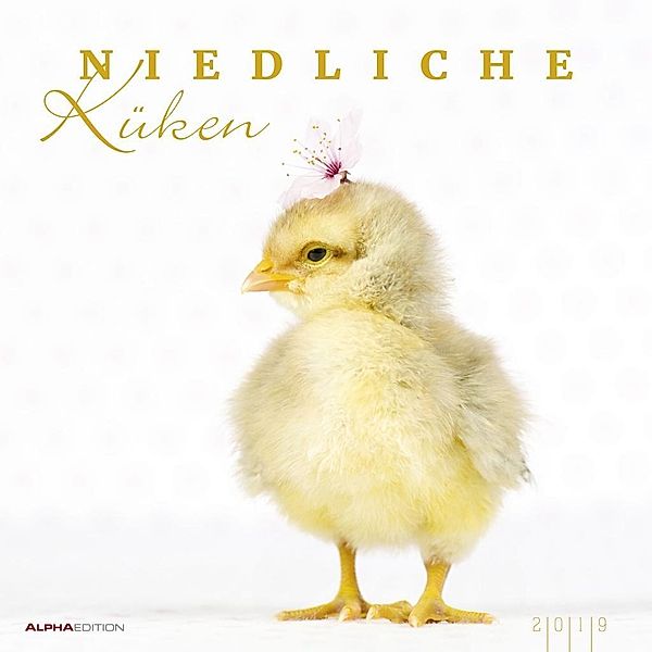 Niedliche Küken 2019, Natalie Eckelt