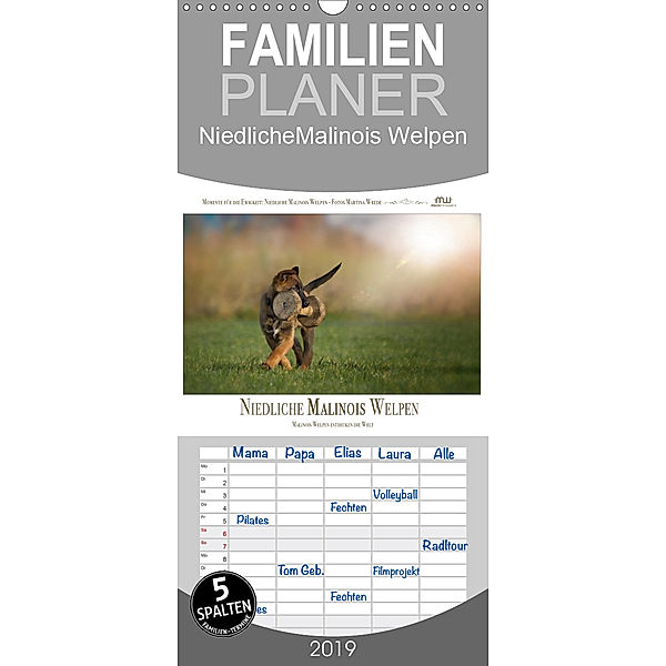 Niedliche Malinois Welpen - Familienplaner hoch (Wandkalender 2019 , 21 cm x 45 cm, hoch), Martina Wrede