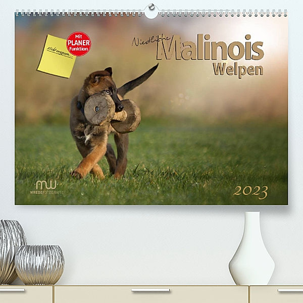 Niedliche Malinois Welpen (Premium, hochwertiger DIN A2 Wandkalender 2023, Kunstdruck in Hochglanz), Martina Wrede