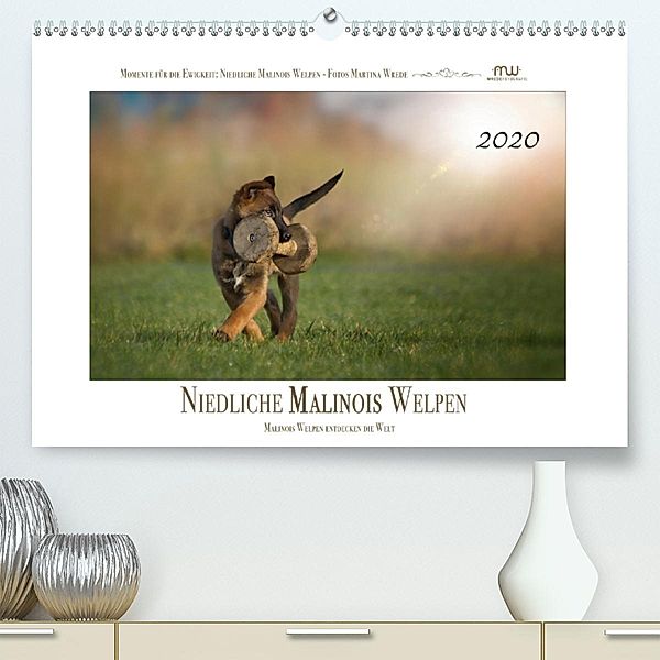 Niedliche Malinois Welpen (Premium-Kalender 2020 DIN A2 quer), Martina Wrede