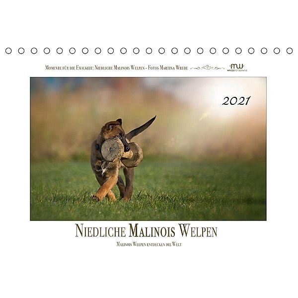 Niedliche Malinois Welpen (Tischkalender 2021 DIN A5 quer), Martina Wrede