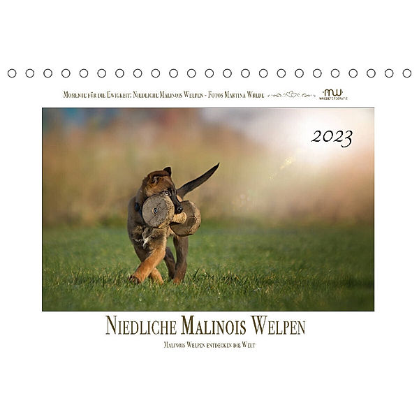 Niedliche Malinois Welpen (Tischkalender 2023 DIN A5 quer), Martina Wrede