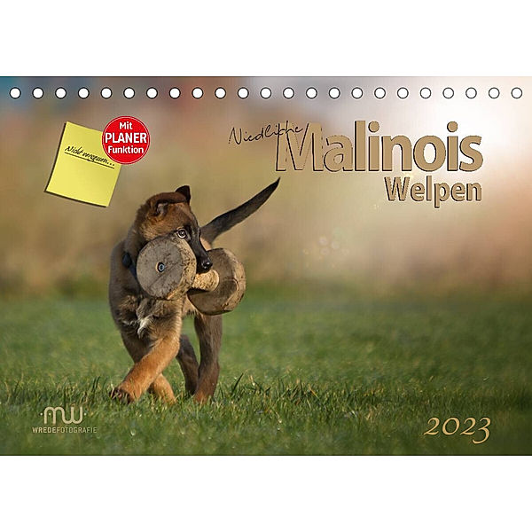 Niedliche Malinois Welpen (Tischkalender 2023 DIN A5 quer), Martina Wrede