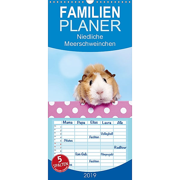 Niedliche Meerschweinchen - Familienplaner hoch (Wandkalender 2019 , 21 cm x 45 cm, hoch), Jeanette Hutfluss