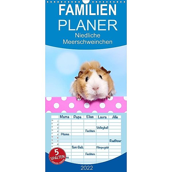 Niedliche Meerschweinchen - Familienplaner hoch (Wandkalender 2022 , 21 cm x 45 cm, hoch), Jeanette Hutfluss