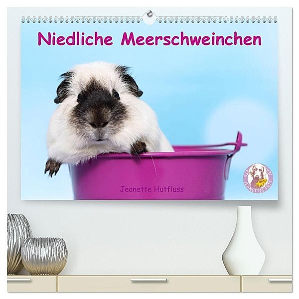 Niedliche Meerschweinchen (hochwertiger Premium Wandkalender 2025 DIN A2 quer), Kunstdruck in Hochglanz, Calvendo, Jeanette Hutfluss