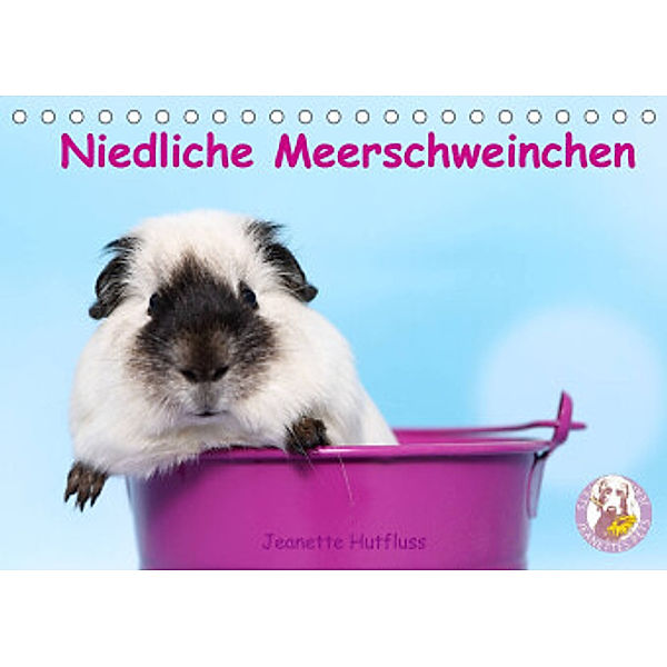 Niedliche Meerschweinchen (Tischkalender 2022 DIN A5 quer), Jeanette Hutfluss