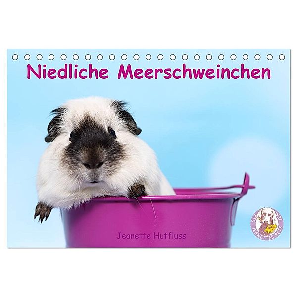 Niedliche Meerschweinchen (Tischkalender 2024 DIN A5 quer), CALVENDO Monatskalender, Jeanette Hutfluss