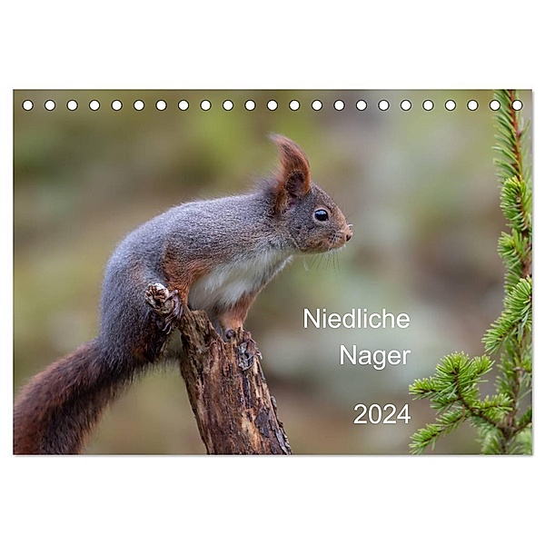 Niedliche Nager (Tischkalender 2024 DIN A5 quer), CALVENDO Monatskalender, Dorothea Oldani