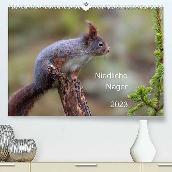 Niedliche NagerCH-Version  (Premium, hochwertiger DIN A2 Wandkalender 2023, Kunstdruck in Hochglanz), Dorothea Oldani