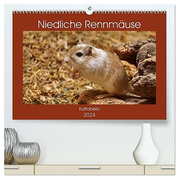 Niedliche Rennmäuse (hochwertiger Premium Wandkalender 2024 DIN A2 quer), Kunstdruck in Hochglanz, Kattobello