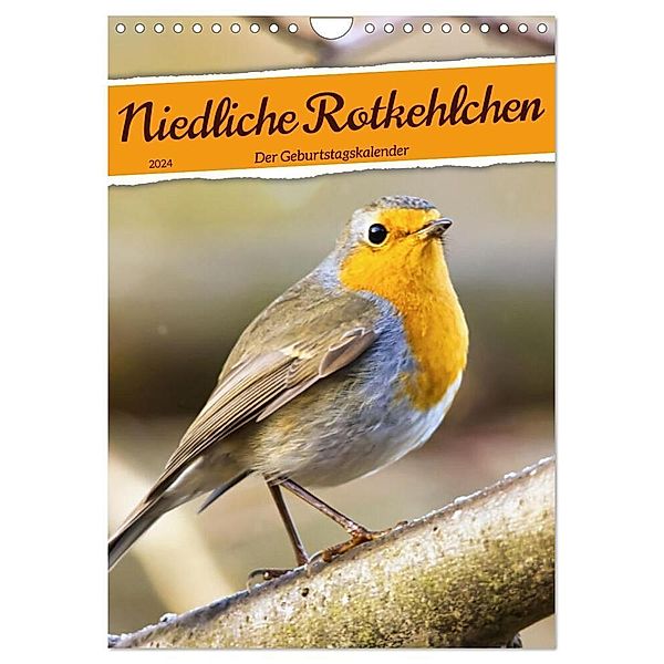 Niedliche Rotkehlchen (Wandkalender 2024 DIN A4 hoch), CALVENDO Monatskalender, Sabine Löwer