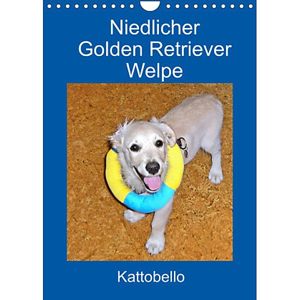 Niedlicher Golden Retriever Welpe (Wandkalender 2022 DIN A4 hoch), Kattobello