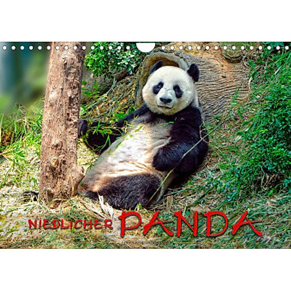 Niedlicher Panda (Wandkalender 2022 DIN A4 quer), Peter Roder