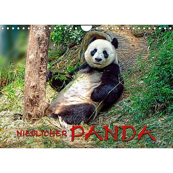 Niedlicher Panda (Wandkalender 2023 DIN A4 quer), Peter Roder