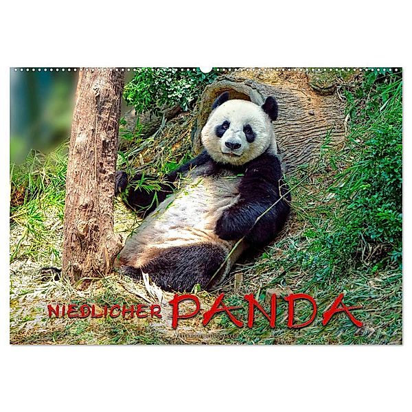 Niedlicher Panda (Wandkalender 2024 DIN A2 quer), CALVENDO Monatskalender, Peter Roder