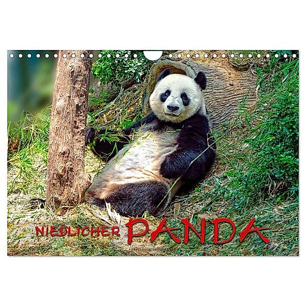 Niedlicher Panda (Wandkalender 2024 DIN A4 quer), CALVENDO Monatskalender, Peter Roder